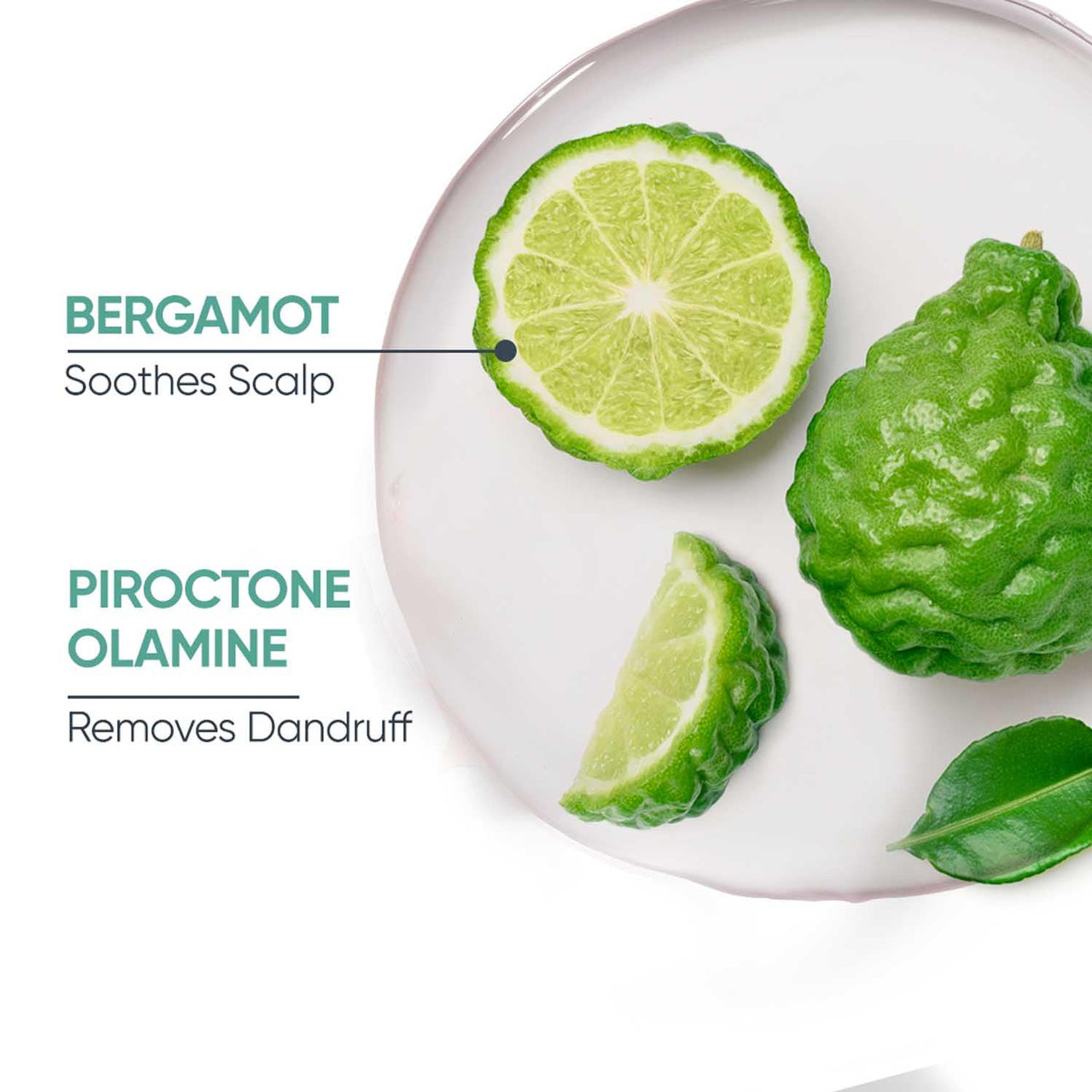 Biolage Professional Scalppure Anti-Dandruff Hair Serum, Removes Visible Flakes from 1st Use, Enriched with Bergamot, Hair Serum for Men and Women, Deep Scalp Treatment, Cruelty-Free, 100 ml