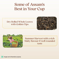 1868 by TATA Tea Assam Orthodox, Pure Assam Black Tea, Dry Rolled Whole Loose Leaves with Golden Tips, Aromatic, Malty, Mildly Sweet, From House of TATA (50 Cups/100g)