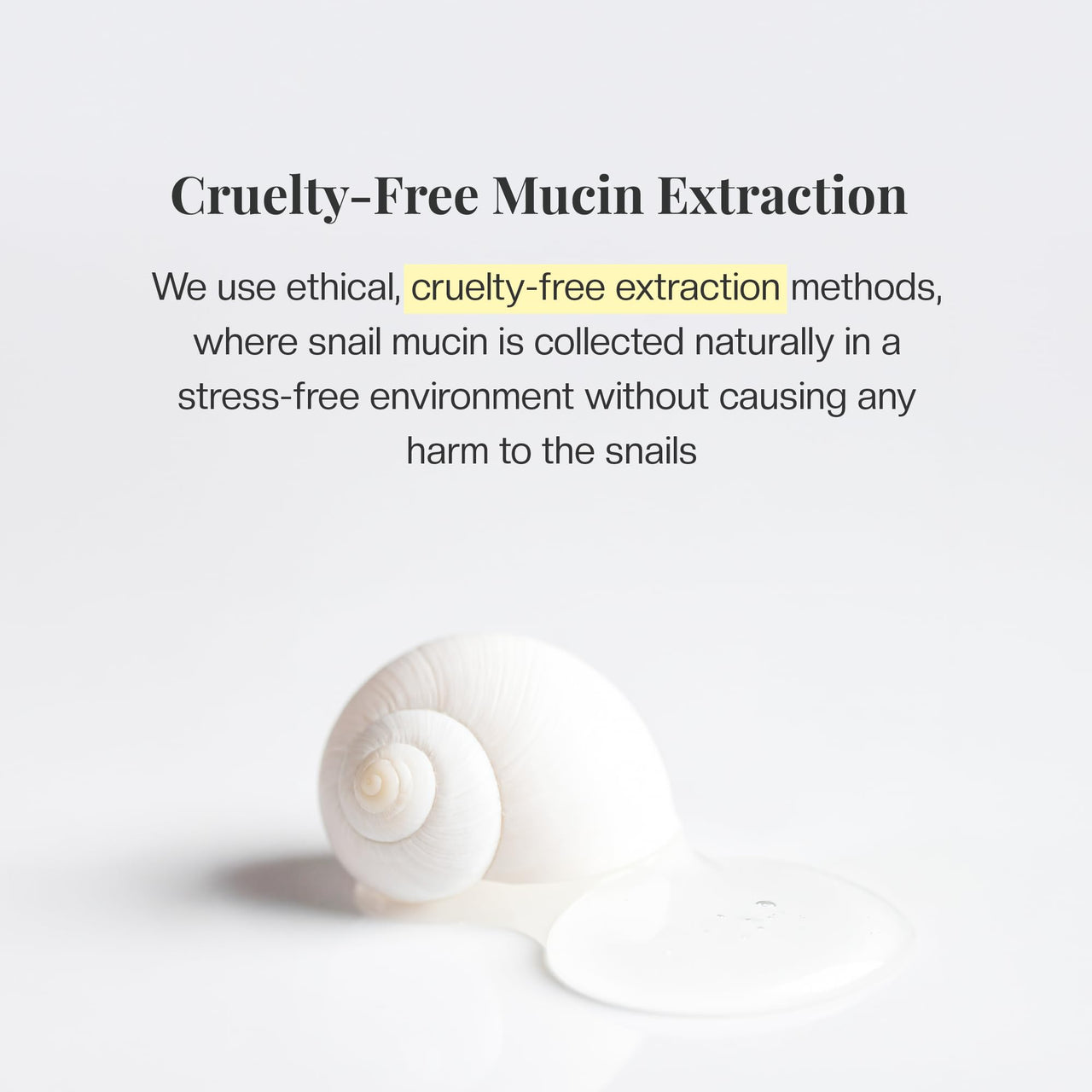 Mirabelle Korea Snail Miin Real Revolution Eye Cream 30g | Reduces Dark Circles, Wrinkles & Fine Lines | Korean Skincare | For Women & Men