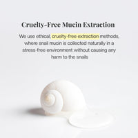 Mirabelle Korea Snail Miin Real Revolution Eye Cream 30g | Reduces Dark Circles, Wrinkles & Fine Lines | Korean Skincare | For Women & Men