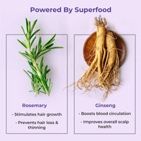 Naturali Anti Hairfall Shampoo | 3x Hair fall Control | With Rosemary, Biotin and Ginseng | No Sulfate No Paraben | Rosemary Shampoo for Hair Growth | 370 ml