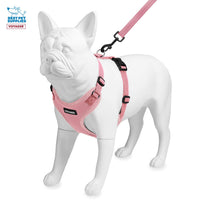 Voyager Step-in Lock Dog Harness w Reflective Dog Leash Combo Set with Neoprene Handle 5ft - Supports Small, Medium and Large Breed Puppies/Cats by Best Pet Supplies - Pink, XS Harness Leash Set (Pink) XS (Chest: 13 - 16