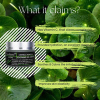 EcoBerry Centella Asiatica (CICA) Soothing Gel Cream | Acne Prone, Sensitive Skin, Moisturizer, Organic, Non Comedogenic, Paraben Free, Chemical Free, Cruelty Free, Mineral Oil Free, Preservative Free, Vegan