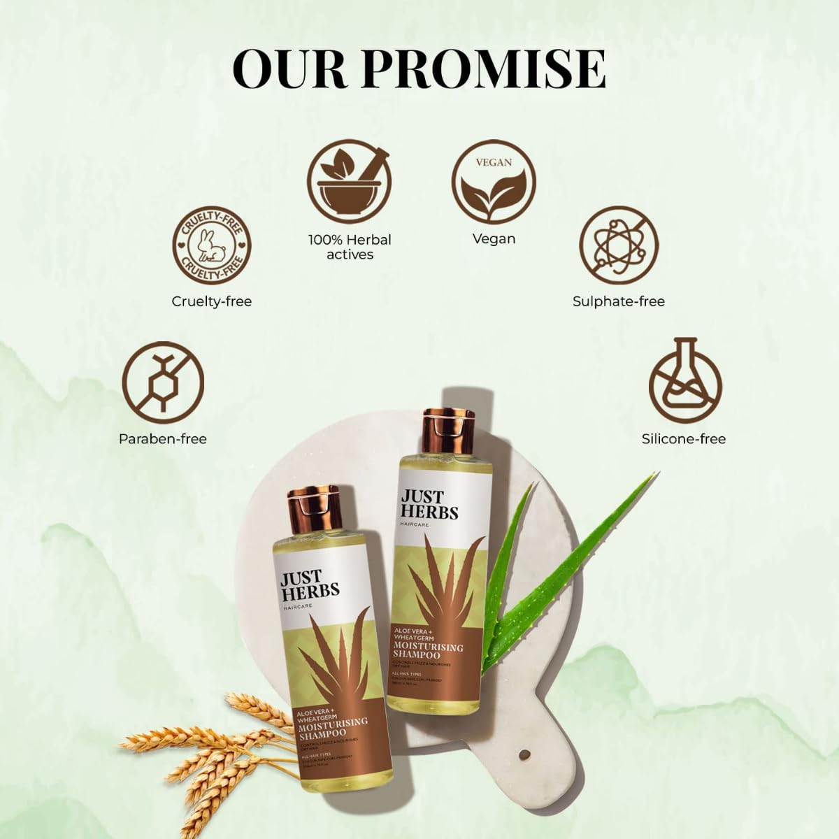 Just Herbs Ayurvedic Silky Strength Anti Dandruff & Hairfall Shampoo For Men & Women - Suitable For Dry Hair Scalp, Sulphate & Paraben Free 200 Ml