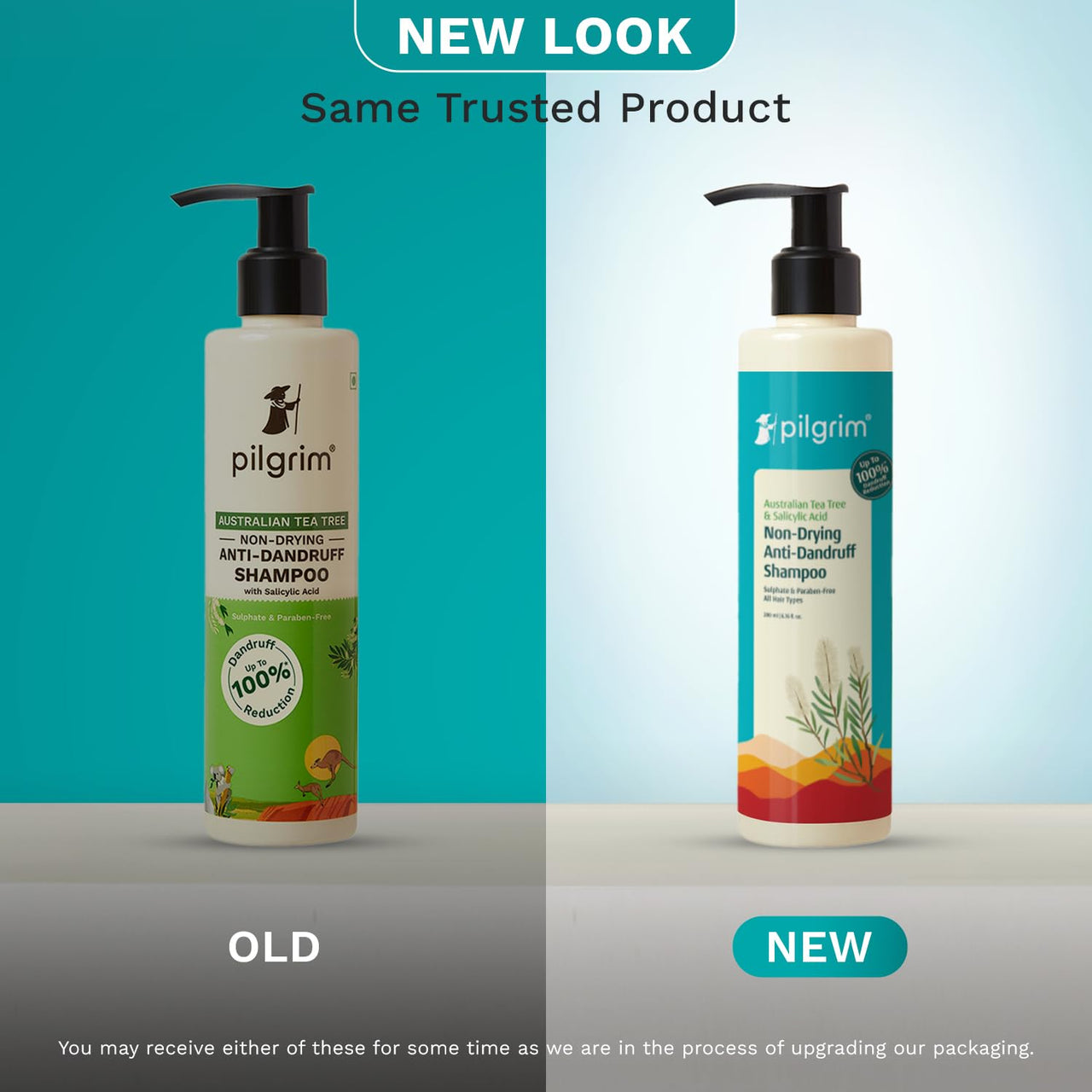 Pilgrim Australian Tea Tree Non-Drying Anti-Dandruff Shampoo 200 ml | Removes Dandruff from Source | Helps with Itching, Irritation | Strong & Smooth Hair | For Men & Women |