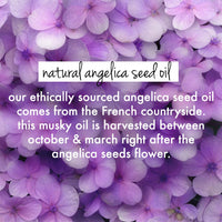 Love Beauty And Planet Rice Water & Angelica Seed Oil Silicone-Free Curl & Waves Shampoo|| No Parabens|| No Sulfates|| Angelica Essential Oil|| 400ml