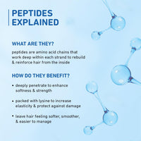 Plum Coconut Milk & Peptides Shampoo 250ml & Conditioner 175g Combo for Dry & Frizzy Hair | 22X Softer, Hydrated, & Smooth Hair | SLS & Paraben Free, pH Balanced Shampoo & Conditioner for Women & Men