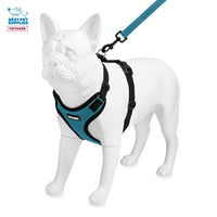 Voyager Step-in Lock Dog Harness w Reflective Dog Leash Combo Set with Neoprene Handle 5ft - Supports Small, Medium and Large Breed Puppies/Cats by Best Pet Supplies - Turquoise/Black Trim, M