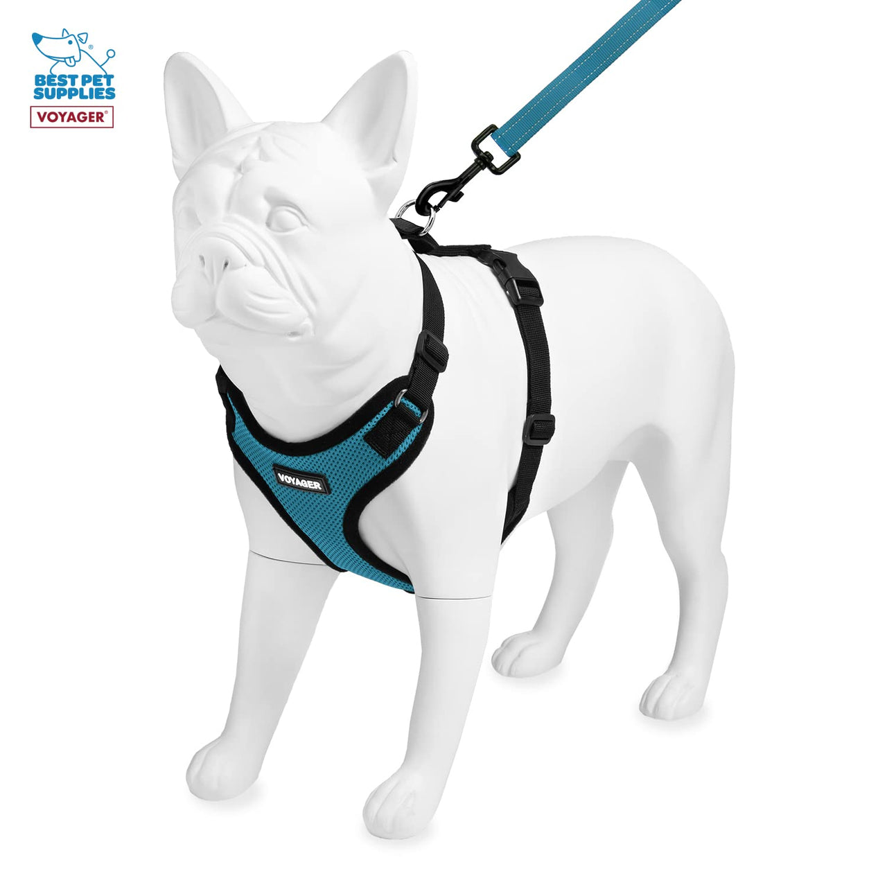 Voyager Step-in Lock Dog Harness w Reflective Dog Leash Combo Set with Neoprene Handle 5ft - Supports Small, Medium and Large Breed Puppies/Cats by Best Pet Supplies - Turquoise/Black Trim, S Harness Leash Set (Turquoise/Black Trim) S (Chest: 15 - 18")