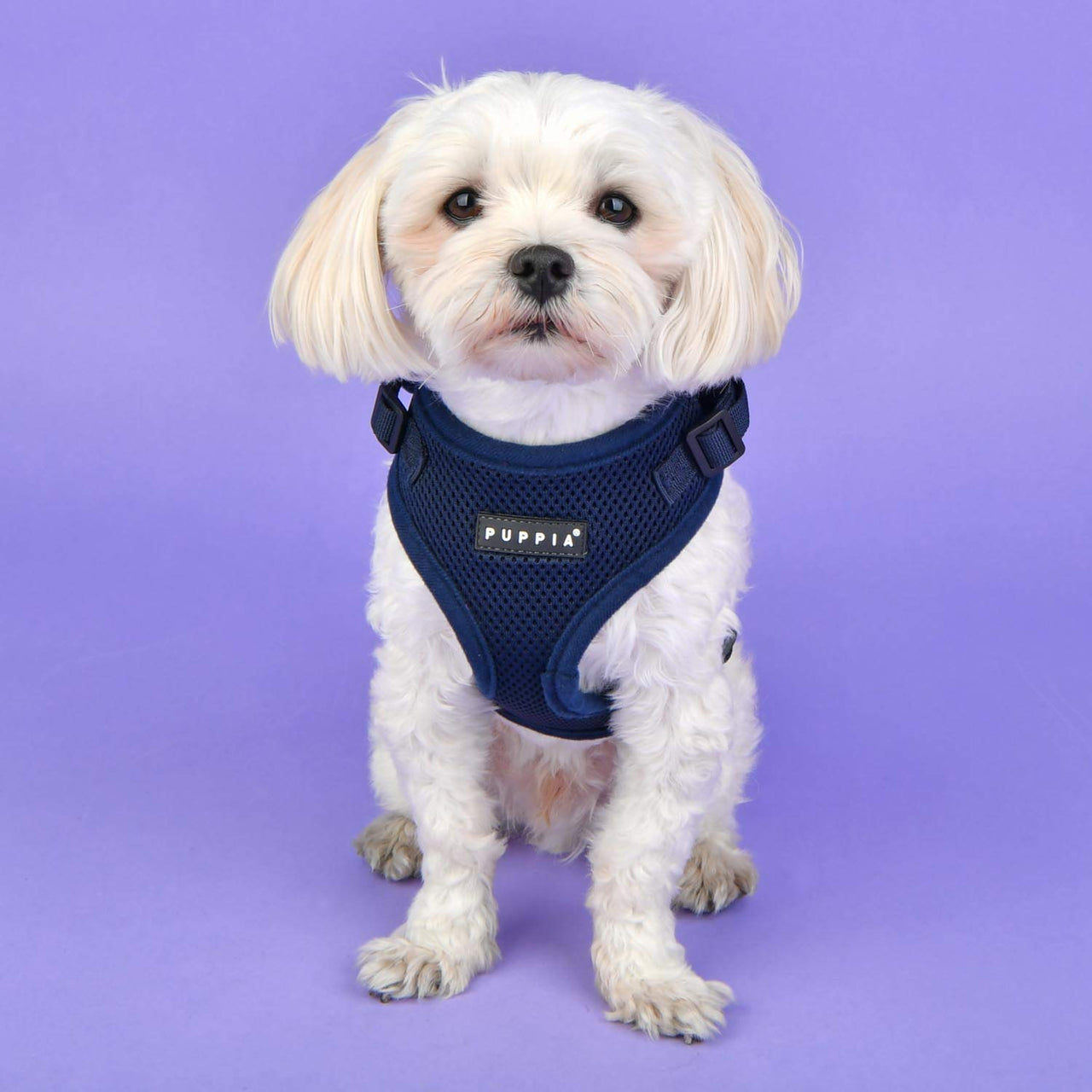 Authentic Puppia RiteFit Harness with Adjustable Neck, Navy, Large