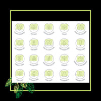 EcoBerry Mineral BB Cream For All Skin Tones, Acne Prone Skin, Subtle Natural Look, Light Weight, Non-Greasy, Organic, Natural, Alcohol Free, Sulphate Free, 15g