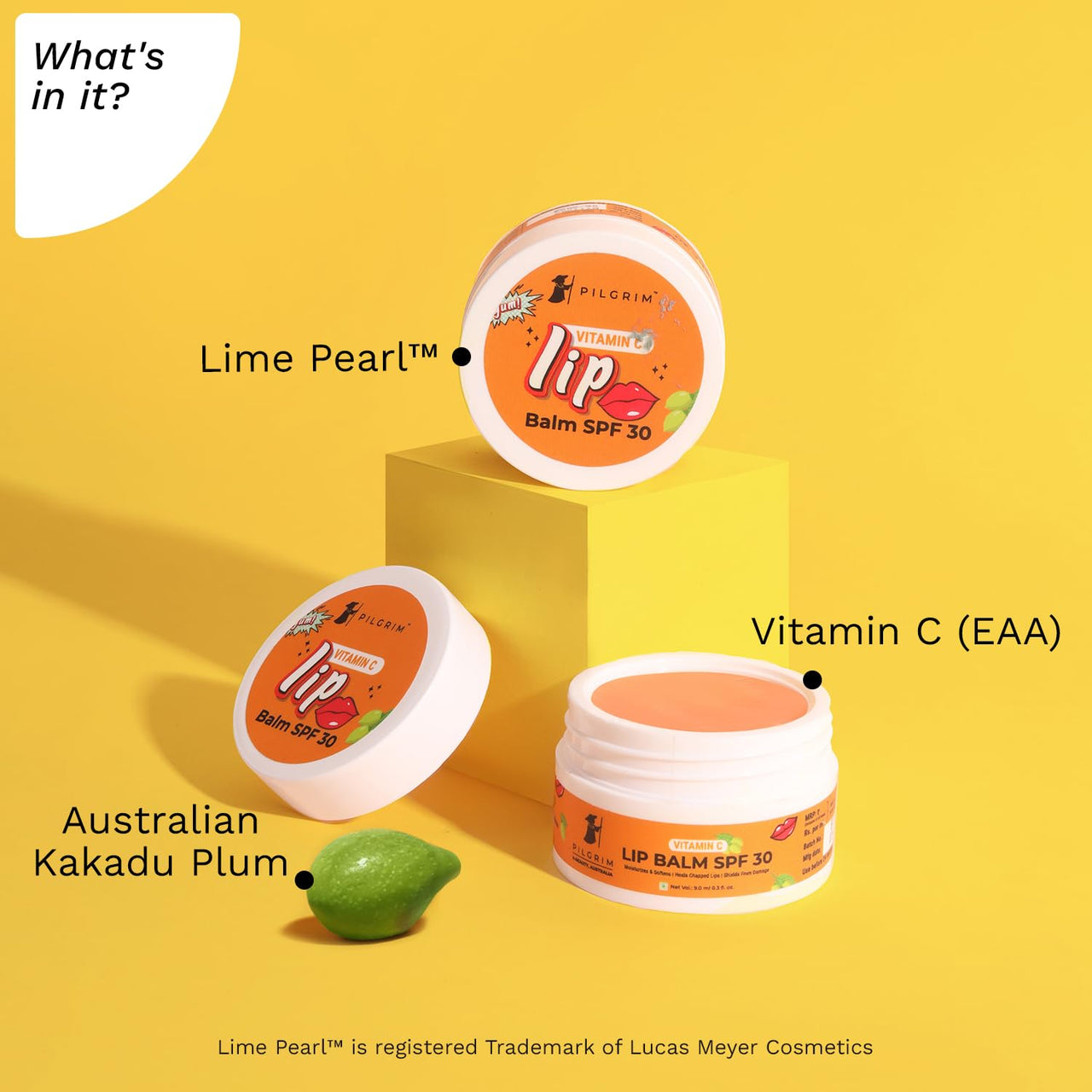 Pilgrim Vitamin C Lip Balm SPF 30 with Australian Kakadu Plum & Shea Butter| Lip Balm SPF 30 for women & men| Lip Balm for Smooth Soft Lips, Soothing & Hydrating Dry & Chapped Lips| 9 gm