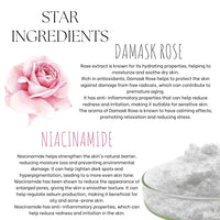 EcoBerry Damask Rose Face Wash Powder