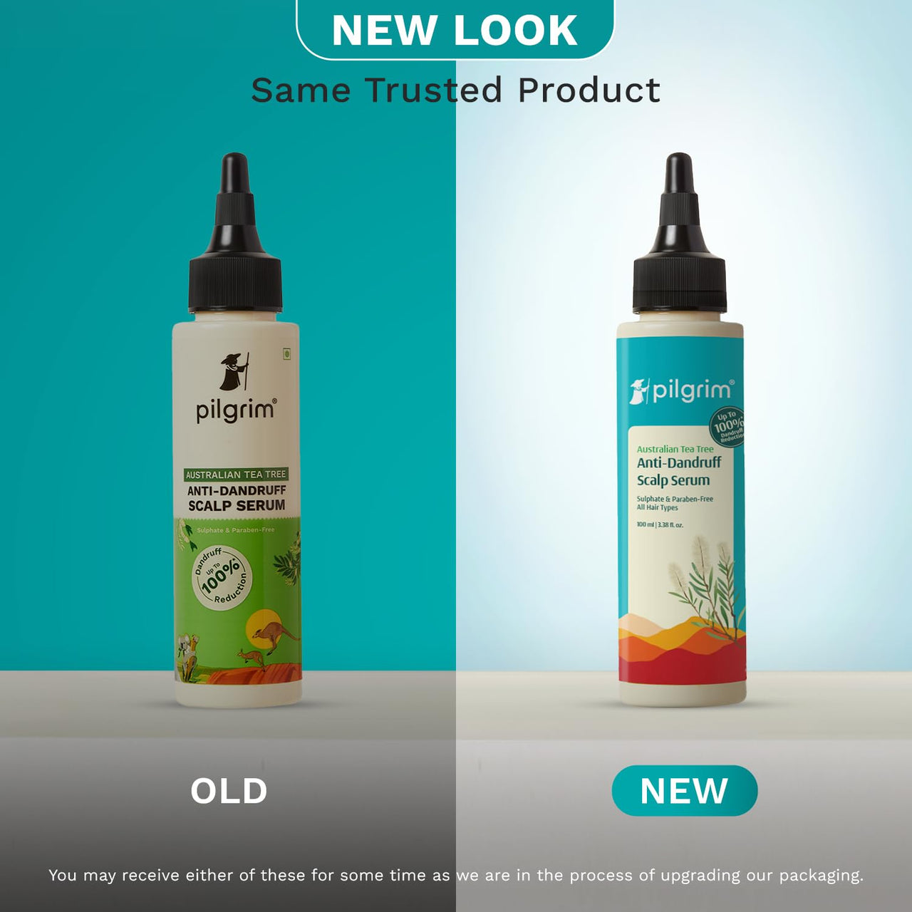 Pilgrim Australian Tea Tree Anti-Dandruff Scalp Serum 100ml | Pre-Shampoo Treatment for Itchy Scalp | Fights Dandruff & Reduces Inflammation | For Women & Men