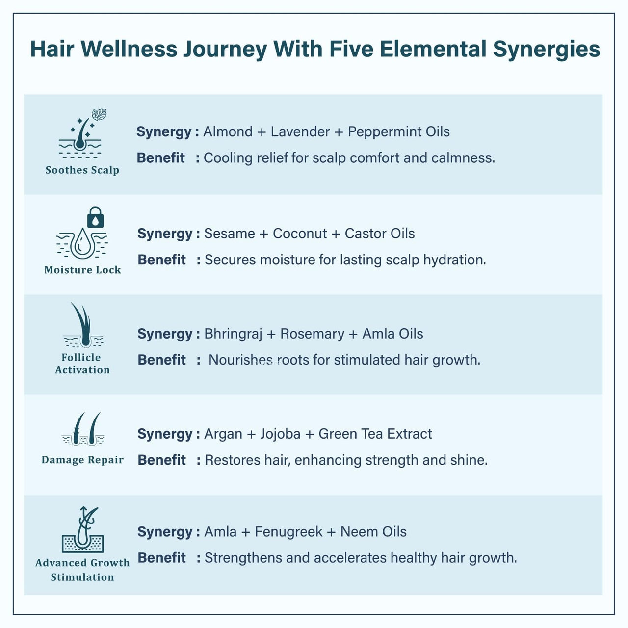 Singular Scalp Care Hair Oil for Itchy Scalp, Soothing & Sebum Control, Cold-Pressed with Tea Tree, Neem, Argan & More - 100 ml