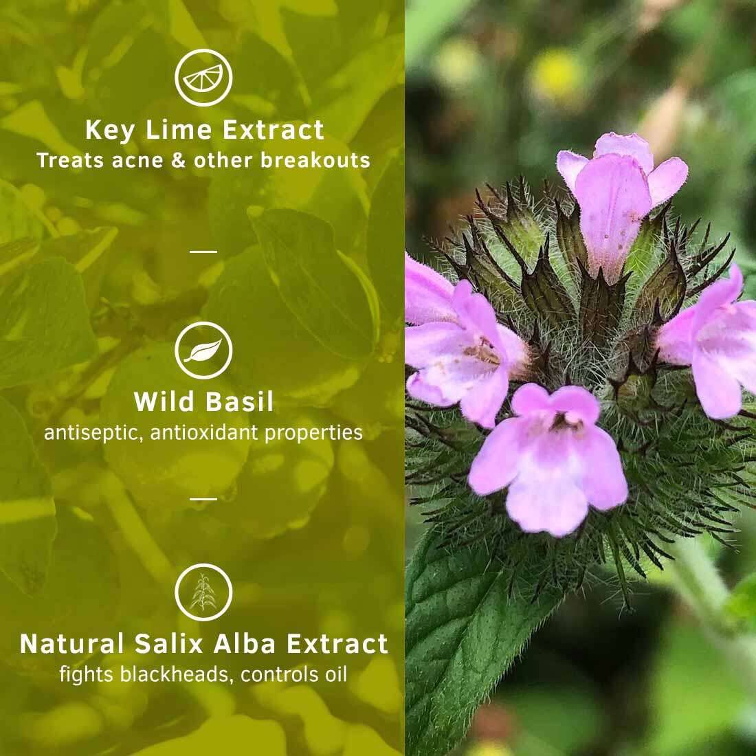 Ustraa Face Wash - Oily Skin - 2 x 100g (Pack of 2) - With Basil & Key Lime - For Acne-Prone Skin | No SLS | Checks Acne & Blackheads | Control Excess Oil, Removes Dirt and Helps Repair Skin