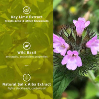 Ustraa Face Wash - Oily Skin - 2 x 100g (Pack of 2) - With Basil & Key Lime - For Acne-Prone Skin | No SLS | Checks Acne & Blackheads | Control Excess Oil, Removes Dirt and Helps Repair Skin