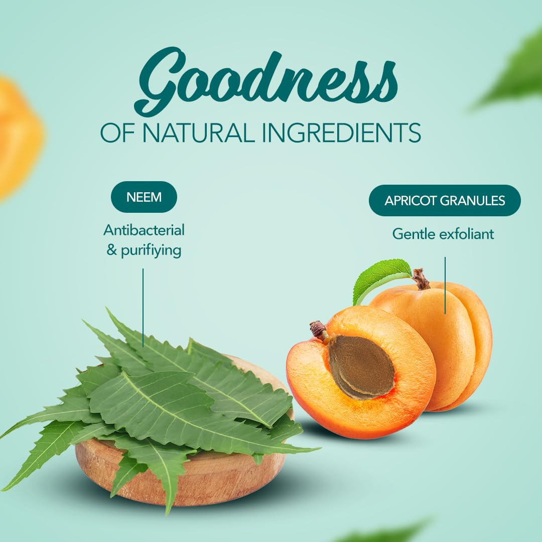 Himalaya Herbals Purifying Neem Scrub, 50g