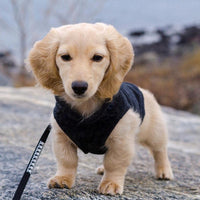 Gooby Fleece Vest Dog Sweater - Black, X-Small - Warm Pullover Fleece Dog Jacket with O-Ring Leash - Winter Small Dog Sweater Coat - Cold Weather Dog Clothes for Small Dogs Boy or Girl X-Small (Around 4-lb)