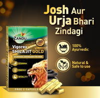 Zandu Vigorex Shilajit Gold - 12 Capsules