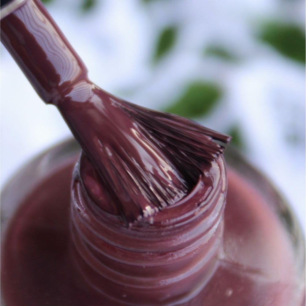 DeBelle Gel Glossy Finish Nail Polish Plum Toffee (Plum Maroon), Enriched With Natural Seaweed Extract, Cruelty Free, Toxic Free - 8 Ml