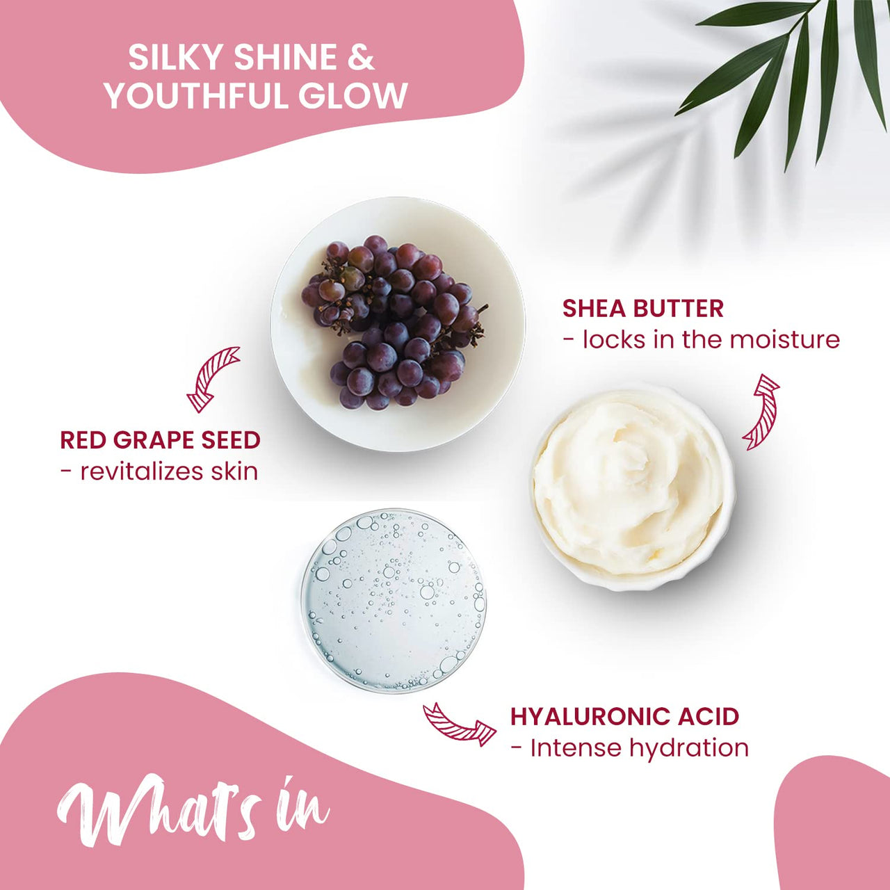 NutriGlow NATURAL'S Advanced Pro Formula Wine Day Cream for Brighter, Glowing Skin (50 g)