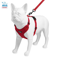Voyager Step-in Lock Dog Harness w Reflective Dog Leash Combo Set with Neoprene Handle 5ft - Supports Small, Medium and Large Breed Puppies/Cats by Best Pet Supplies - Red, XL Harness Leash Set (Red) XL (Chest: 23 - 28
