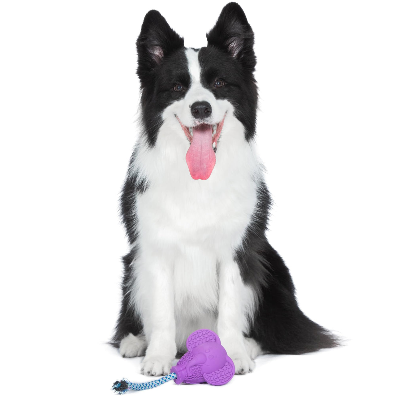 Arm & Hammer for Pets Super Treadz Large Elephant Dental Chew Toy for Dogs - Dog Dental Toys Help Reduce Plaque & Tartar Buildup Without Brushing - Safe for Dogs up to 35 Lbs Large - 1 Pack