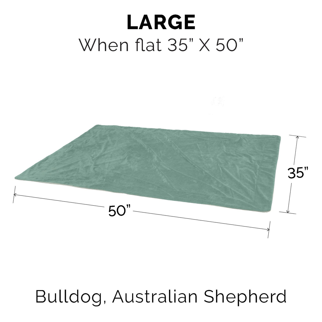 Furhaven Waterproof Throw Blanket for Dogs & Indoor Cats, Washable - Two-Tone Luxe Velvet Dog Blanket - Celadon Green, Large Blanket - Two-tone Luxe Velvet (Celadon Green) 50.0"L x 35.0"W x 0.3"Th Waterproof Only