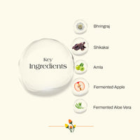 Ashpveda Bhringraj & Shikakai Hair Conditioner for Hair fall, Dryness, Roughness, Dullness & Split-ends (30ml)