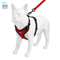 Voyager Step-in Lock Dog Harness w Reflective Dog Leash Combo Set with Neoprene Handle 5ft - Supports Small, Medium and Large Breed Puppies/Cats by Best Pet Supplies - Red/Black Trim, XS Harness Leash Set (Red/Black Trim) XS (Chest: 13 - 16