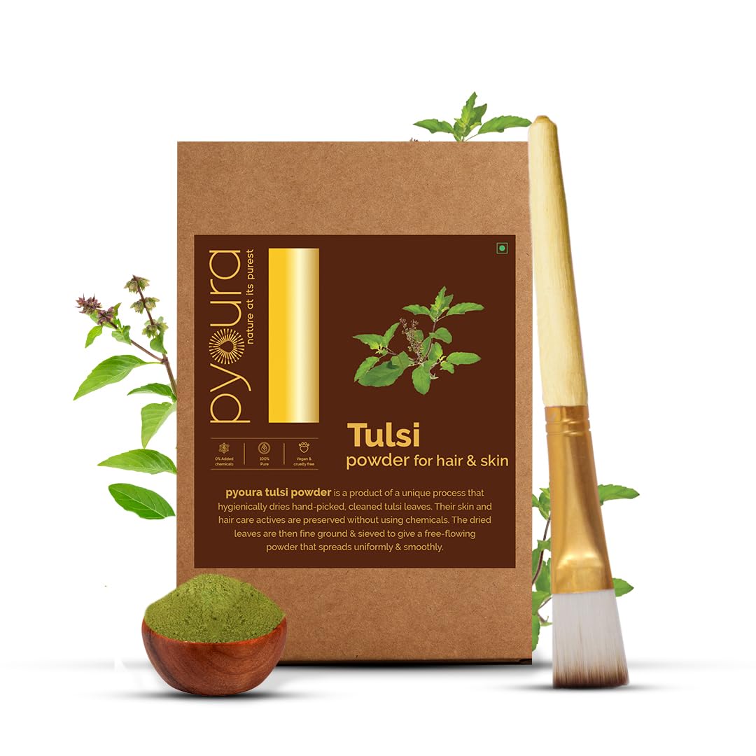 PYOURA Pure Tulsi Powder, 100% Natural No Chemicals Added, Hygienically Dried, Face Pack for Youthful Clear Skin | Pack of 2, Each 100 Grams