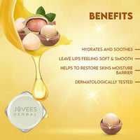 JOVEES Herbal Shea Butter Healing Lip Balm | 24 Hour Hydration | Heals Dry And Flaky Lips | Gives Soft And Supple Lips 8G, Off White