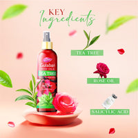 Dabur Gulabari Rose Oil & Tea Tree Face Toner Mist & Rosewater with Salicylic Acid - 100ml | Treats breakouts, blackheads, and whiteheads | Tightens and Refines Pores | Alcohol free