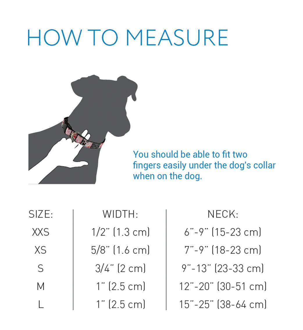 RC Pets 1 Inch Adjustable Dog Clip Collar, Medium, Pineapple Parade M (Neck: 12"-20", Strap Width: 1")