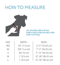 RC Pets 1 Inch Adjustable Dog Clip Collar, Medium, Pineapple Parade M (Neck: 12