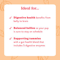 Bocce's  Bakery Probiotic Supplement for Dogs, Daily Chews, Made in The USA with with 7 Strains of Probiotics, Supports Digestion, Pumpkin & Sweet Potato, 60 ct, Orange (DG-SP-PRO60)