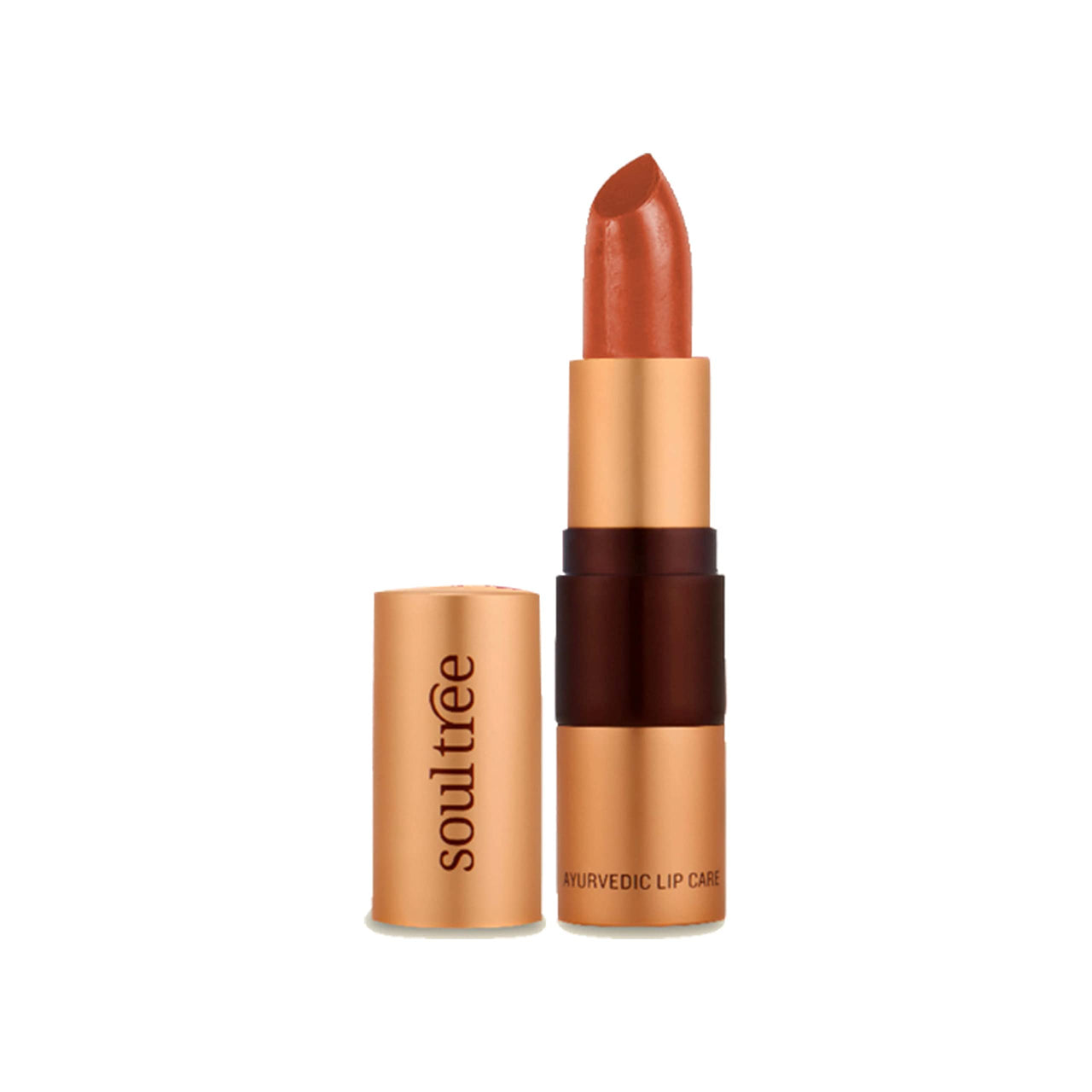 SoulTree Ayurvedic Lipstick - Cantaloupe 817, 4gm | Creamy Texture | Enriched with Organic Ghee & Almond Oil | Moistured & Nourished Lips | 4gm