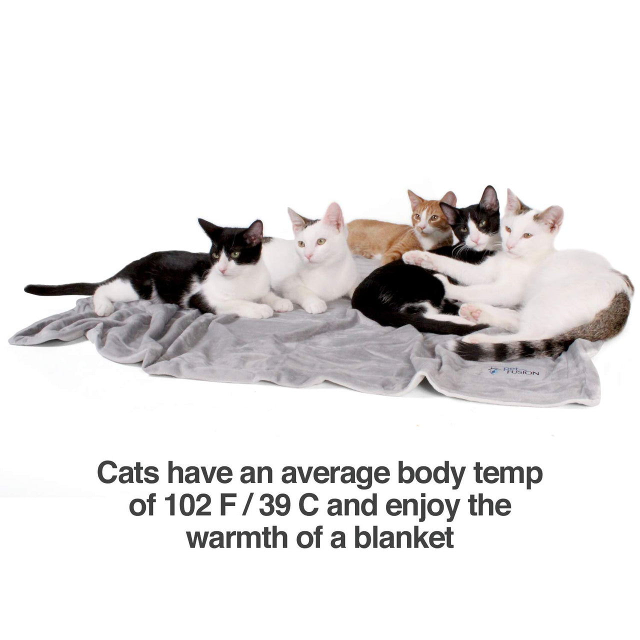 PetFusion Premium Dog Blanket, Cat Blanket | Ultra Soft Pet Blanket Available in Plush or Quilted, 2 Colors (Grey, Brown) | Perfect Blanket for Small Dogs & Large Dogs. 12 Month Warranty X-Large (60 x 48") Gray