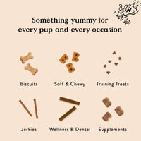 Bocce's  Bakery Jerky Stick Dog Treats, Wheat-Free, Made with Limited-Ingredients, Baked in The USA with No Added Salt or Sugar, All-Naural & High-Protein, Chicken & Pumpkin, 4 oz Chicken + Pumpkin