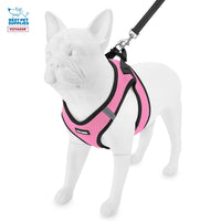 Voyager Step-in Air All Weather Mesh Harness and Reflective Dog 5 ft Leash Combo with Neoprene Handle, for Small, Medium and Large Breed Puppies by Best Pet Supplies - Pink Base, XS Harness Leash Bundle (Pink/Black Trim) XS (Chest: 13 - 14.5
