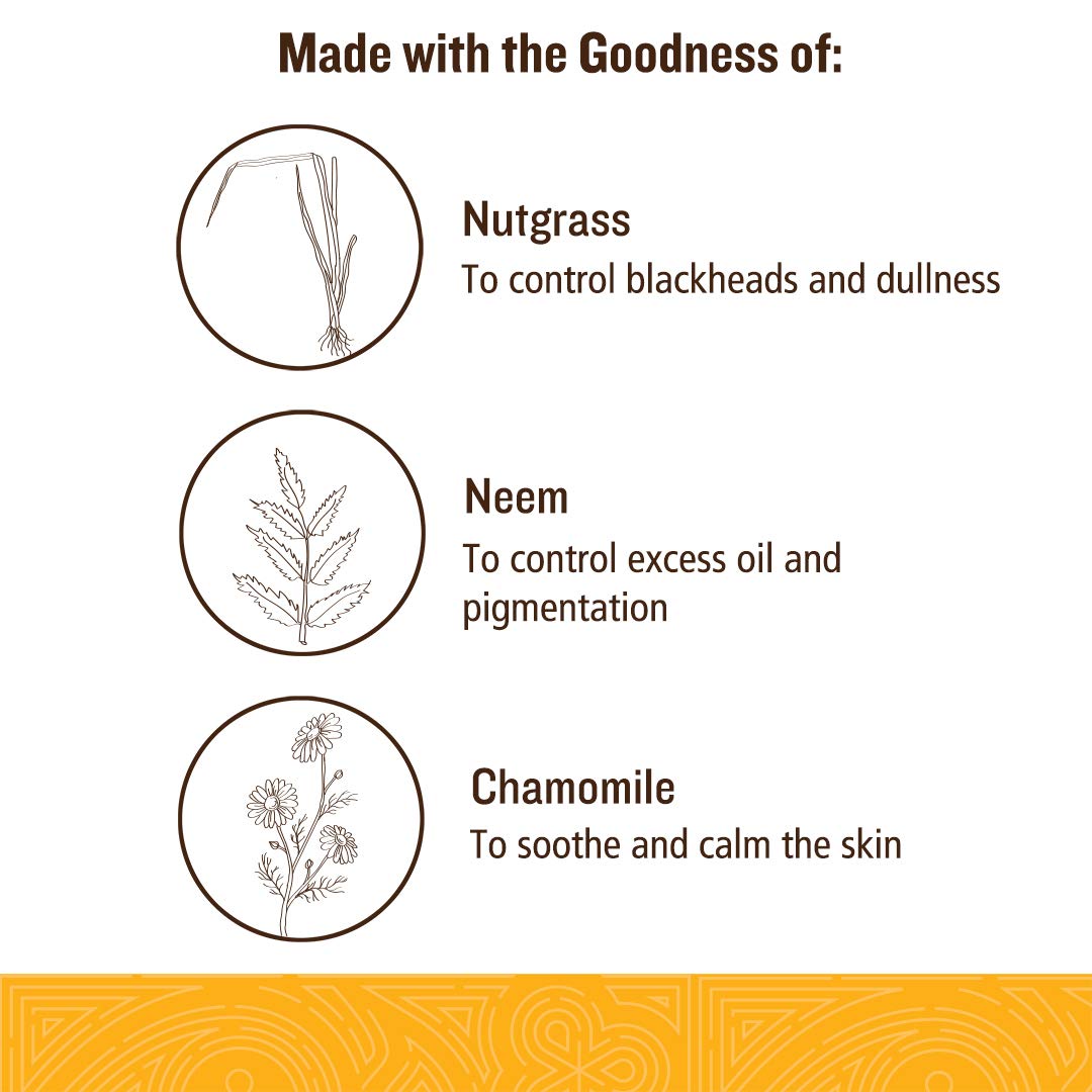 SoulTree Nutgrass Face Wash With Neem & Chamomile | For Oily To Combination Skin - 120ml