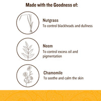 SoulTree Nutgrass Face Wash With Neem & Chamomile | For Oily To Combination Skin - 120ml