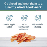 JustFoodForDogs Healthy Dog Treats, Single-Ingredient, Chicken Breast, Made in The USA 5 oz 5 Ounce (Pack of 1)