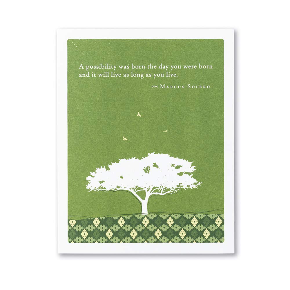 Compendium Positively Green 4-Pack of Birthday Cards - Birthday Delights Birthday - Birthday Delights