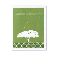 Compendium Positively Green 4-Pack of Birthday Cards - Birthday Delights Birthday - Birthday Delights