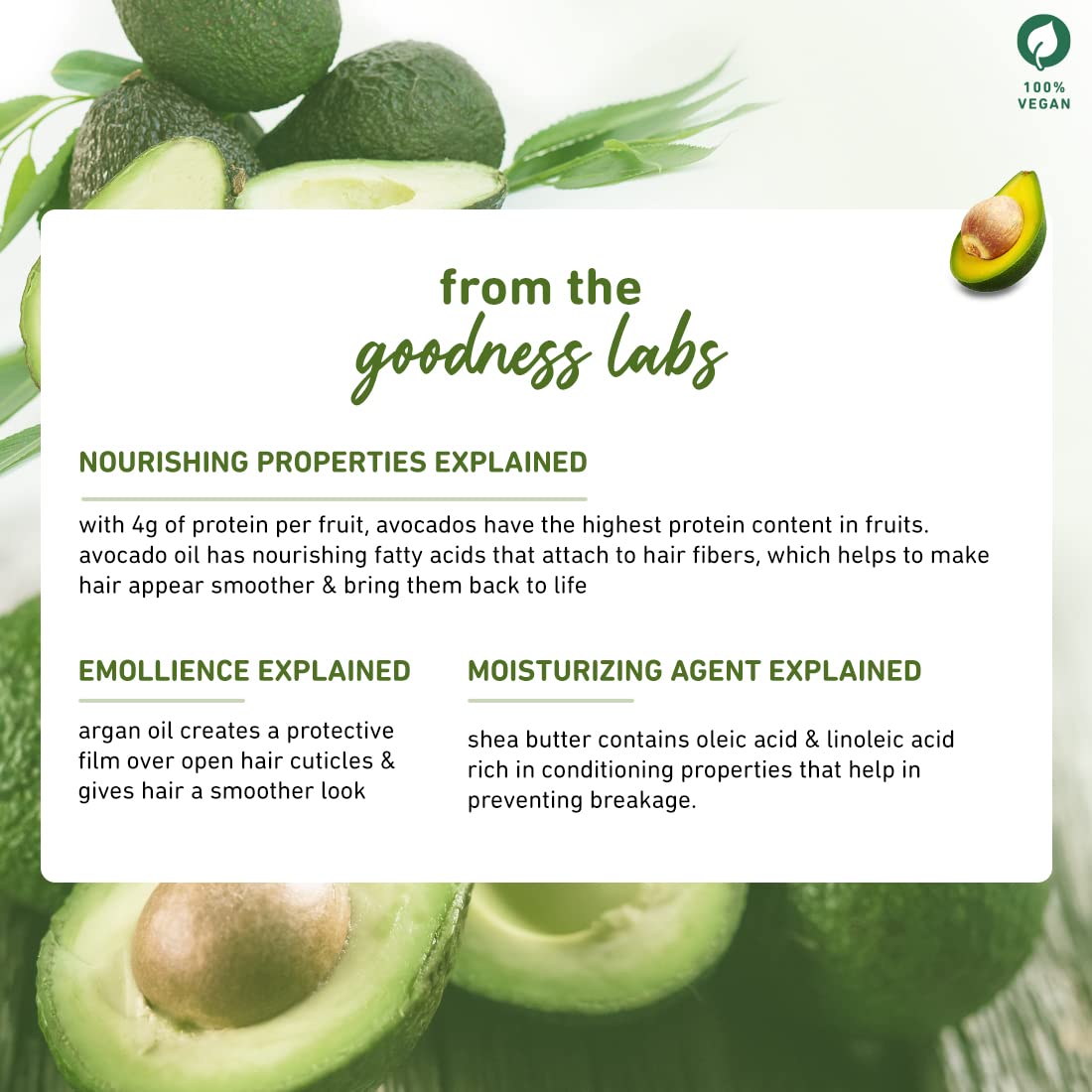 Avocado & Argan Frizz Control Conditioner I For Frizzy, Curly & Wavy Hair | Contains Avocado Oil, Shea Butter & Argan Oil | Sulphate-Free I 100% Vegan