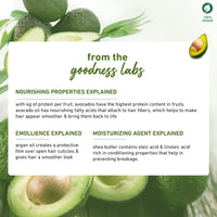 Avocado & Argan Frizz Control Conditioner I For Frizzy, Curly & Wavy Hair | Contains Avocado Oil, Shea Butter & Argan Oil | Sulphate-Free I 100% Vegan