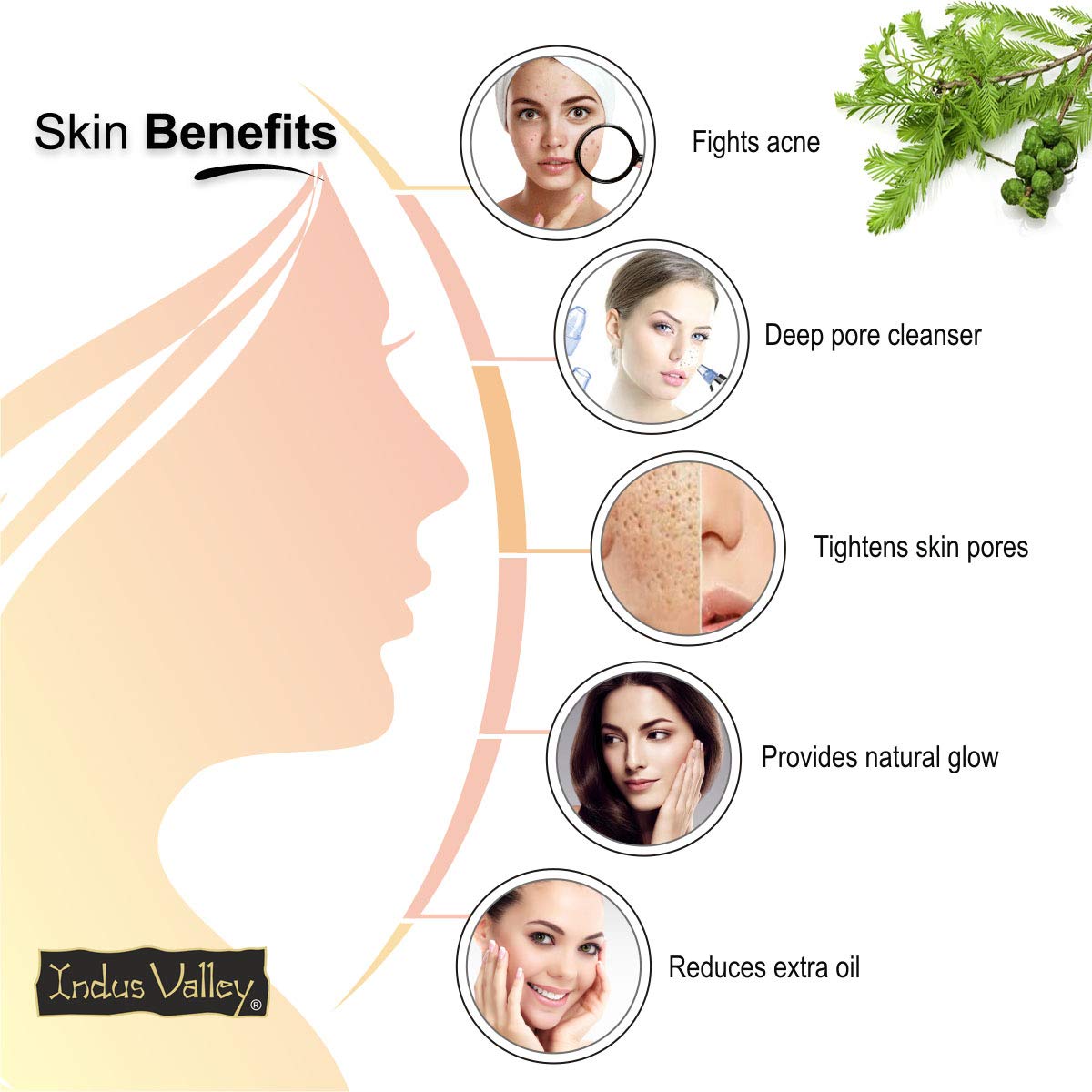 Indus Valley 100% Pure Natural & Organic, Undiluted Cypress Essential Oil with Glass Dropper for Skin, Hair Care -15ml