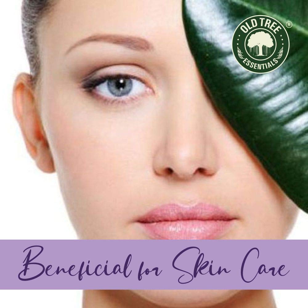 Old Tree Lavender Essential Oil for Home Fragrance (15ml) - Pure & Natural Lavender Oil for Skin, Hair growth, Sleep, Diffuser, Soap Making - Essential Oil with Dropper for Aromatherapy and Relaxation